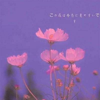 888集团电子游戏截图