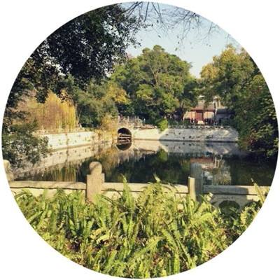 幸运彩票app官方版下载