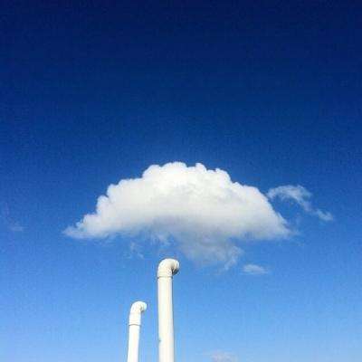 大小单双正规平台下载